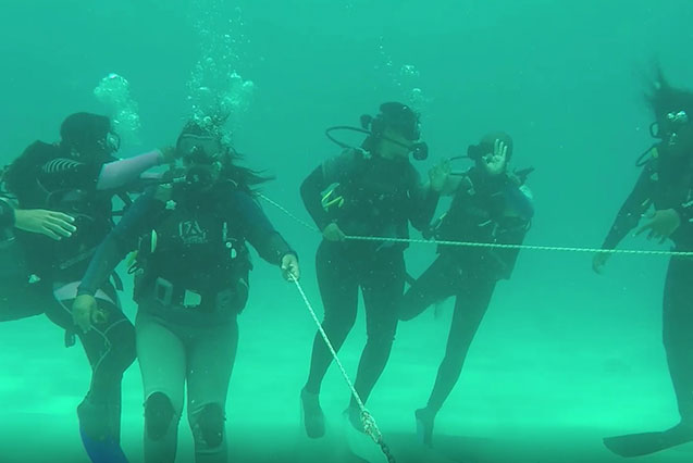 Our teams are tight-knit, entrepreneurial and supportive.